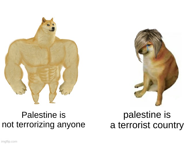 its not | Palestine is not terrorizing anyone; palestine is a terrorist country | image tagged in memes,buff doge vs cheems | made w/ Imgflip meme maker