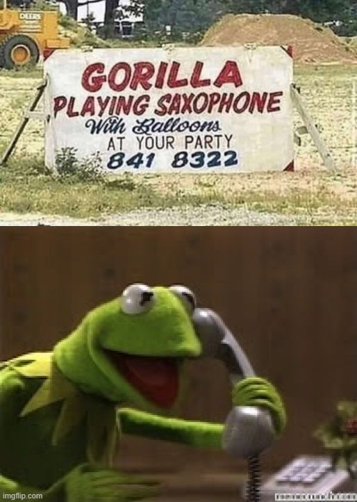 Come on ANSWER THE PHONE | image tagged in kermit the frog at phone,memes | made w/ Imgflip meme maker