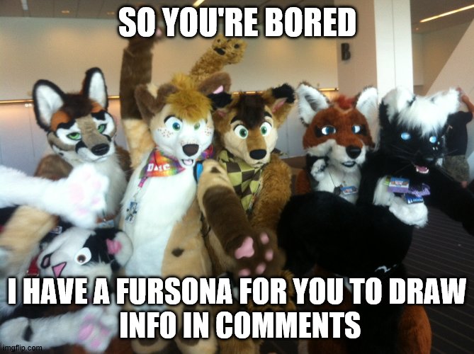 i wanna see how good all of you can draw furries | SO YOU'RE BORED; I HAVE A FURSONA FOR YOU TO DRAW
 INFO IN COMMENTS | image tagged in furries | made w/ Imgflip meme maker