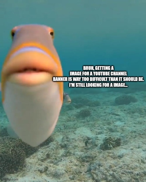 Like, COME ON | BRUH, GETTING A IMAGE FOR A YOUTUBE CHANNEL BANNER IS WAY TOO DIFFICULT THAN IT SHOULD BE.

I'M STILL LOOKING FOR A IMAGE... | image tagged in staring fish | made w/ Imgflip meme maker