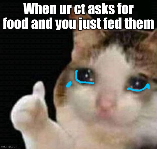 sad thumbs up cat | When ur ct asks for food and you just fed them | image tagged in sad thumbs up cat | made w/ Imgflip meme maker
