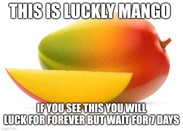Luckly mango |  THIS IS LUCKLY MANGO; IF YOU SEE THIS YOU WILL LUCK FOR FOREVER BUT WAIT FOR 7 DAYS | image tagged in mango | made w/ Imgflip meme maker