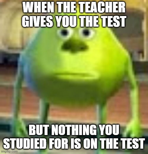 Sully Wazowski |  WHEN THE TEACHER GIVES YOU THE TEST; BUT NOTHING YOU STUDIED FOR IS ON THE TEST | image tagged in sully wazowski | made w/ Imgflip meme maker