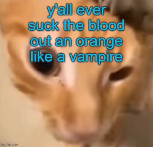 el gato | y'all ever suck the blood out an orange like a vampire | image tagged in el gato | made w/ Imgflip meme maker