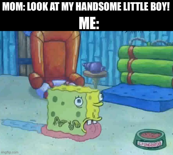 snailbob | ME:; MOM: LOOK AT MY HANDSOME LITTLE BOY! | image tagged in snailbob | made w/ Imgflip meme maker