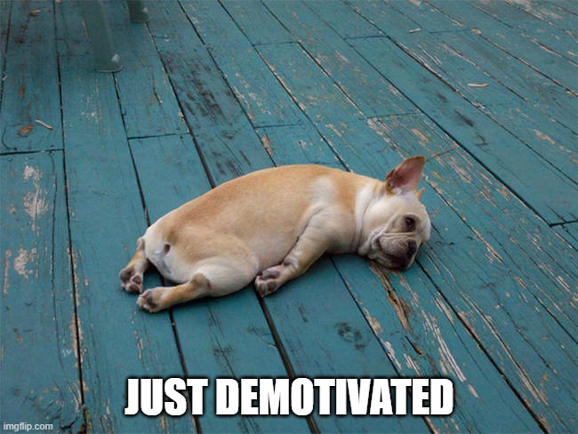 Sleepy Pug | JUST DEMOTIVATED | image tagged in sleepy pug | made w/ Imgflip meme maker