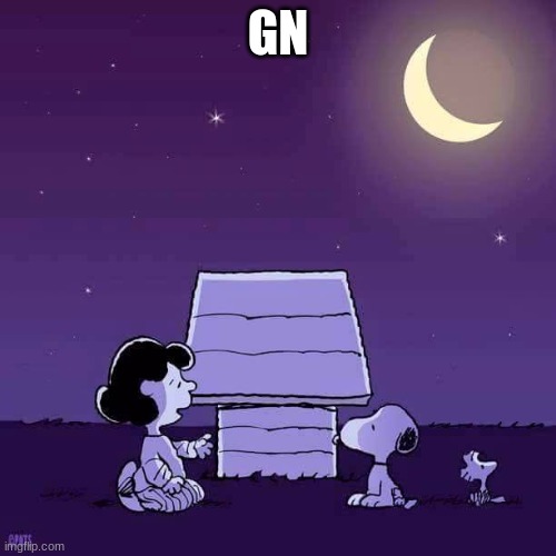 Good night  | GN | image tagged in good night | made w/ Imgflip meme maker