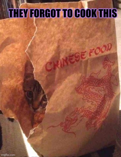Chinese Food Not So Well Done | THEY FORGOT TO COOK THIS | image tagged in chinese food not so well done | made w/ Imgflip meme maker