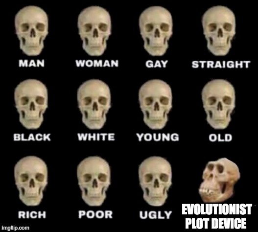 Evolutionist Plot Device | EVOLUTIONIST PLOT DEVICE | image tagged in idiot skull,human evolution,story,athiest,fairy tail,creationism | made w/ Imgflip meme maker
