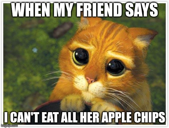 Shrek Cat | WHEN MY FRIEND SAYS; I CAN'T EAT ALL HER APPLE CHIPS | image tagged in memes,shrek cat | made w/ Imgflip meme maker