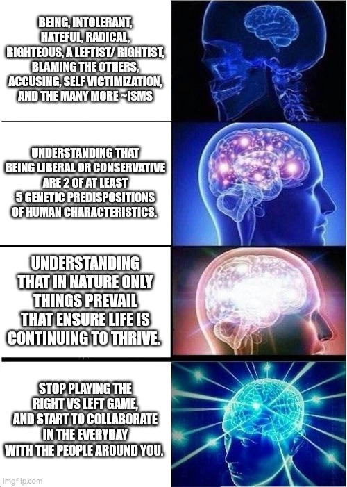 Stop playing the game and rich people invented to have control... | BEING, INTOLERANT, HATEFUL, RADICAL, RIGHTEOUS, A LEFTIST/ RIGHTIST, BLAMING THE OTHERS, ACCUSING, SELF VICTIMIZATION, AND THE MANY MORE ~ISMS; UNDERSTANDING THAT BEING LIBERAL OR CONSERVATIVE ARE 2 OF AT LEAST 5 GENETIC PREDISPOSITIONS OF HUMAN CHARACTERISTICS. UNDERSTANDING THAT IN NATURE ONLY THINGS PREVAIL THAT ENSURE LIFE IS CONTINUING TO THRIVE. STOP PLAYING THE RIGHT VS LEFT GAME, AND START TO COLLABORATE IN THE EVERYDAY WITH THE PEOPLE AROUND YOU. | image tagged in memes,expanding brain | made w/ Imgflip meme maker