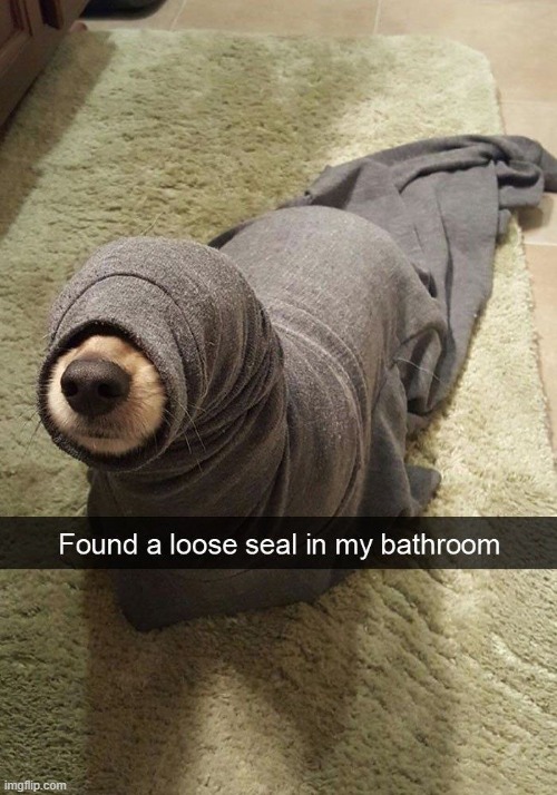 image tagged in puns | made w/ Imgflip meme maker