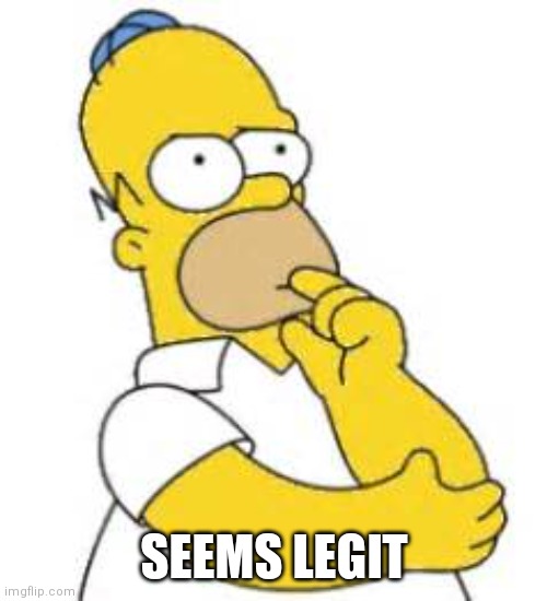 Homer Simpson Hmmmm | SEEMS LEGIT | image tagged in homer simpson hmmmm | made w/ Imgflip meme maker