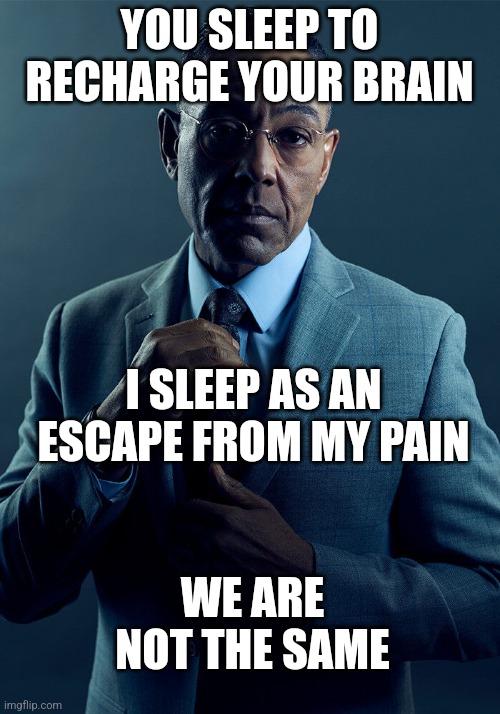 Gus Fring we are not the same | YOU SLEEP TO RECHARGE YOUR BRAIN; I SLEEP AS AN ESCAPE FROM MY PAIN; WE ARE NOT THE SAME | image tagged in gus fring we are not the same | made w/ Imgflip meme maker