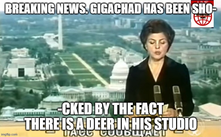 Dictator MSMG News | BREAKING NEWS. GIGACHAD HAS BEEN SHO-; -CKED BY THE FACT THERE IS A DEER IN HIS STUDIO | image tagged in dictator msmg news | made w/ Imgflip meme maker
