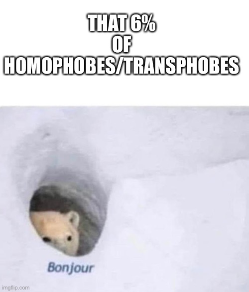 Bonjour | THAT 6% OF HOMOPHOBES/TRANSPHOBES | image tagged in bonjour | made w/ Imgflip meme maker
