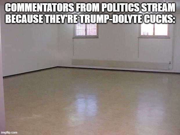 Empty Room | COMMENTATORS FROM POLITICS STREAM BECAUSE THEY'RE TRUMP-DOLYTE CUCKS: | image tagged in empty room | made w/ Imgflip meme maker