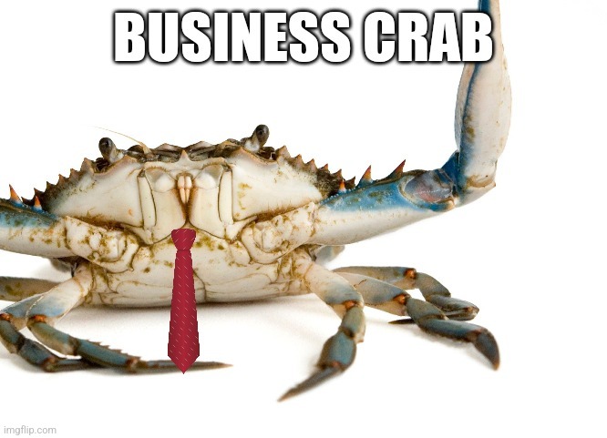 Business crab | image tagged in memes | made w/ Imgflip meme maker