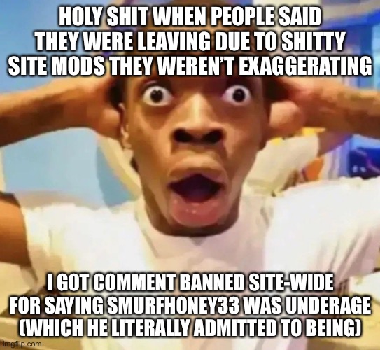 Luckily it’s only for 8 hours | HOLY SHIT WHEN PEOPLE SAID THEY WERE LEAVING DUE TO SHITTY SITE MODS THEY WEREN’T EXAGGERATING; I GOT COMMENT BANNED SITE-WIDE FOR SAYING SMURFHONEY33 WAS UNDERAGE (WHICH HE LITERALLY ADMITTED TO BEING) | image tagged in shocked black guy grabbing head | made w/ Imgflip meme maker