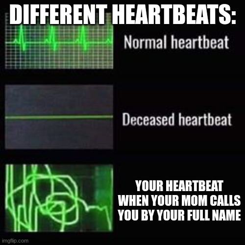 heartbeat rate |  DIFFERENT HEARTBEATS:; YOUR HEARTBEAT WHEN YOUR MOM CALLS YOU BY YOUR FULL NAME | image tagged in heartbeat rate,your mom,funny,memes,dankmemes,heart attack | made w/ Imgflip meme maker
