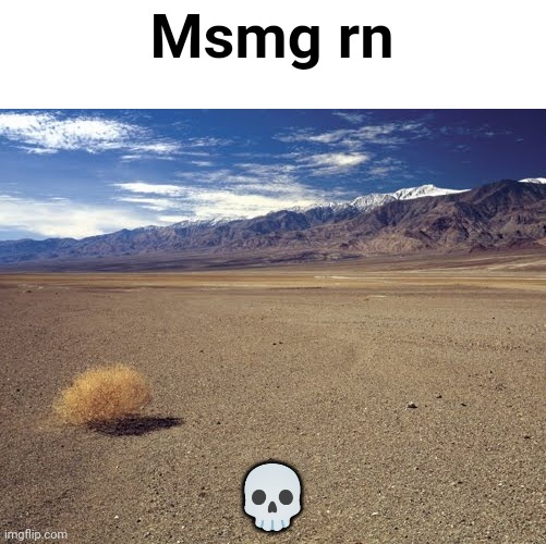 desert tumbleweed | Msmg rn; 💀 | image tagged in desert tumbleweed | made w/ Imgflip meme maker
