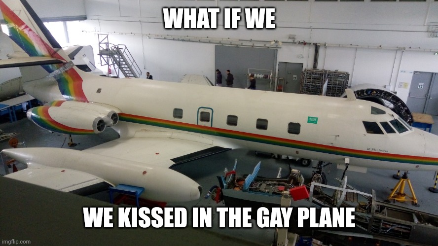 The gay plane | WHAT IF WE; WE KISSED IN THE GAY PLANE | image tagged in the gay plane,lgbtq,airplane,plane,fun | made w/ Imgflip meme maker