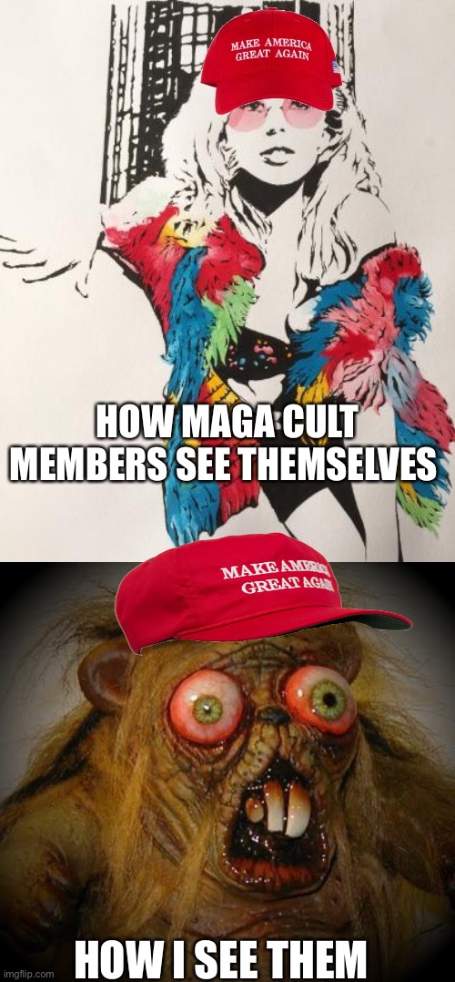 HOW MAGA CULT MEMBERS SEE THEMSELVES; HOW I SEE THEM | image tagged in maga kylie fan art,omg it can't be the horror | made w/ Imgflip meme maker