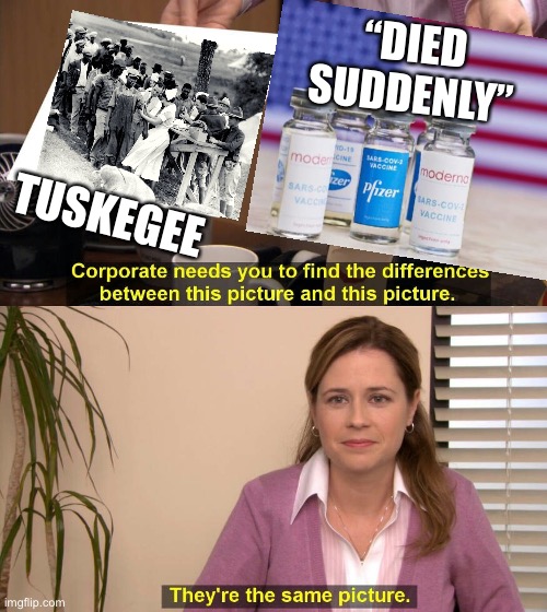 They are the same picture, except one has millions more Guinea pigs, | “DIED
SUDDENLY”; TUSKEGEE | image tagged in they are the same picture,tuskegee experiments,c 19 jab,more guinea pigs | made w/ Imgflip meme maker