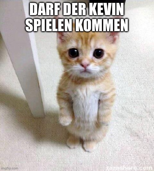 Cute Cat Meme | DARF DER KEVIN SPIELEN KOMMEN | image tagged in memes,cute cat | made w/ Imgflip meme maker