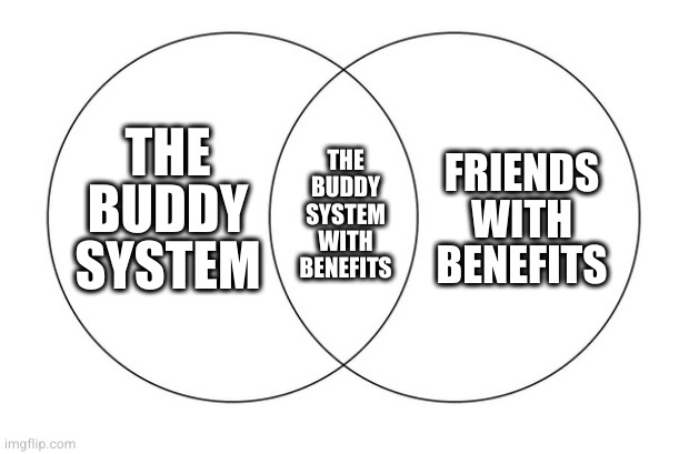 Marriage in a nutshell | FRIENDS WITH BENEFITS; THE BUDDY SYSTEM; THE BUDDY SYSTEM WITH BENEFITS | image tagged in venn diagram | made w/ Imgflip meme maker