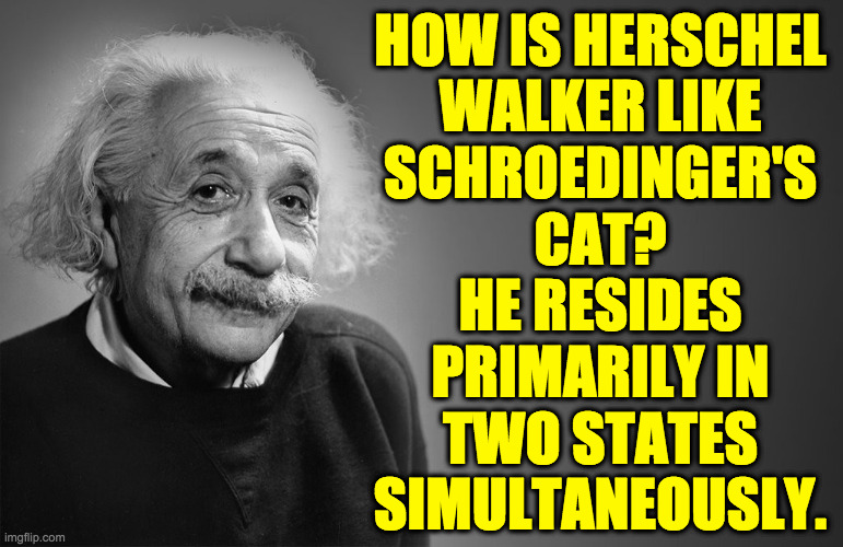 It's only legal at the sub-atomic level. | HOW IS HERSCHEL
WALKER LIKE
SCHROEDINGER'S
CAT?
HE RESIDES
PRIMARILY IN
TWO STATES
SIMULTANEOUSLY. | image tagged in albert einstein quotes,memes,herschel walker | made w/ Imgflip meme maker