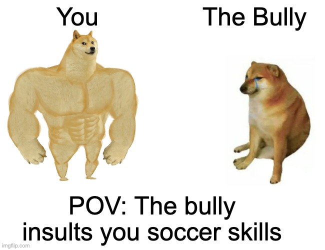 POV: the bully insults your soccer skills | You; The Bully; POV: The bully insults you soccer skills | image tagged in memes,buff doge vs cheems | made w/ Imgflip meme maker