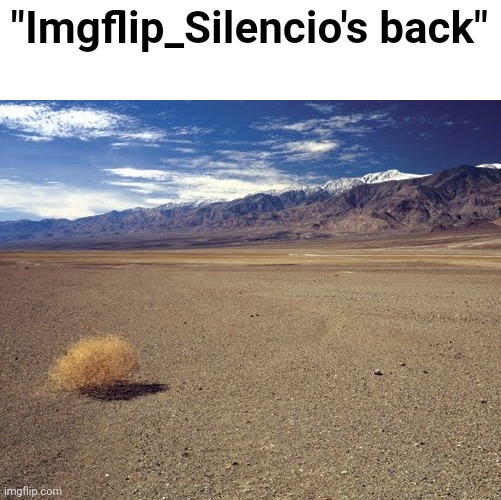 desert tumbleweed | "Imgflip_Silencio's back" | image tagged in desert tumbleweed | made w/ Imgflip meme maker