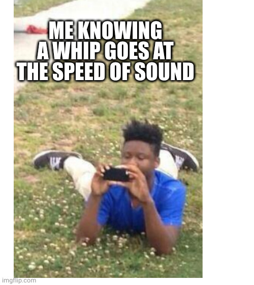 ME KNOWING A WHIP GOES AT THE SPEED OF SOUND | image tagged in blank white template | made w/ Imgflip meme maker