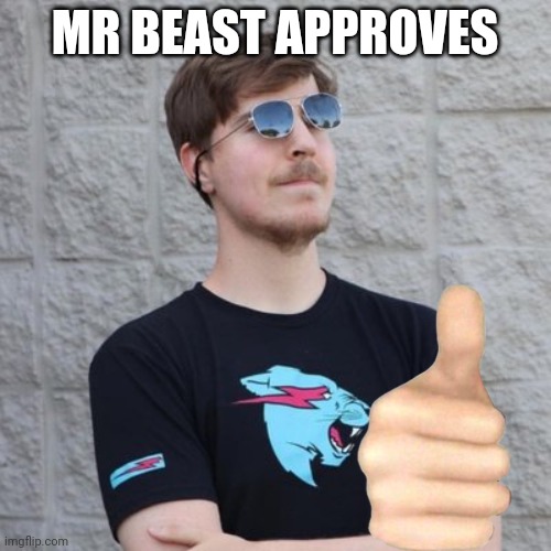 Mr. Beast | MR BEAST APPROVES | image tagged in mr beast | made w/ Imgflip meme maker