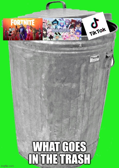Trash | WHAT GOES IN THE TRASH | image tagged in trash | made w/ Imgflip meme maker