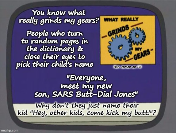 What's In A Name? | You know what really grinds my gears? People who turn to random pages in the dictionary & close their eyes to pick their child's name; "Everyone, meet my new son, SARS Butt-Dial Jones"; Ron Jensen on FB; Why don't they just name their kid "Hey, other kids, come kick my butt!"? | image tagged in what really grinds my gears blank,grinds my gears,names,hello my name is,dad why is my sisters name,dictionary | made w/ Imgflip meme maker