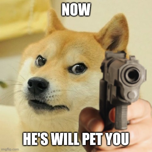 Doge holding a gun | NOW HE'S WILL PET YOU | image tagged in doge holding a gun | made w/ Imgflip meme maker