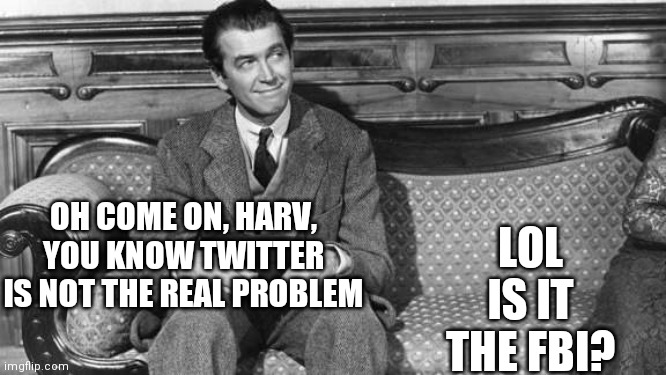 We Figured it out America | LOL IS IT THE FBI? OH COME ON, HARV, YOU KNOW TWITTER IS NOT THE REAL PROBLEM | image tagged in elwood and harvey,not talking,to myself | made w/ Imgflip meme maker