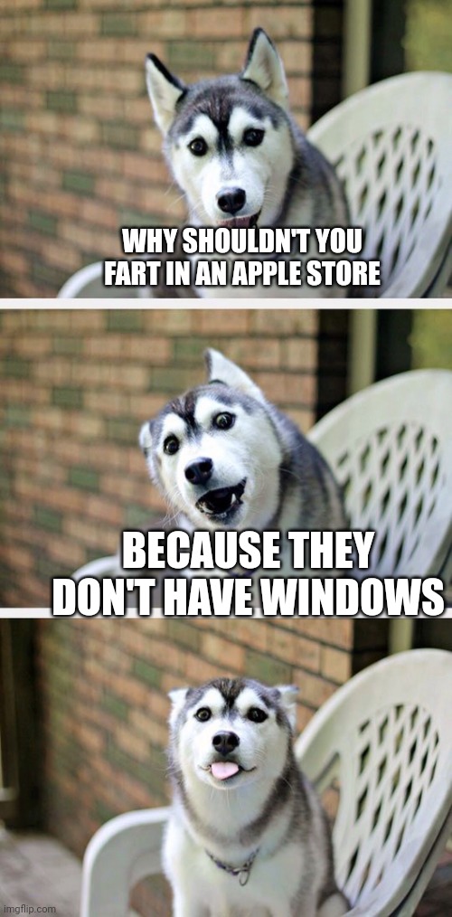 No context | WHY SHOULDN'T YOU FART IN AN APPLE STORE; BECAUSE THEY DON'T HAVE WINDOWS | image tagged in bad pun dog 2 | made w/ Imgflip meme maker