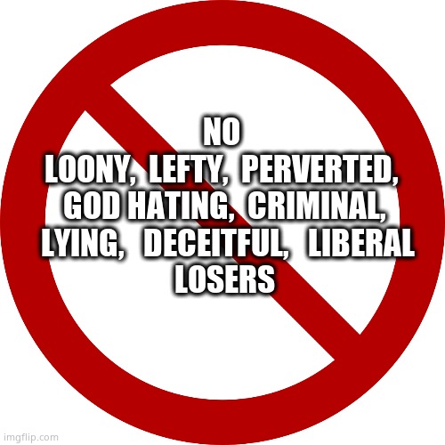 No sign | NO 
LOONY,  LEFTY,  PERVERTED, 
GOD HATING,  CRIMINAL,  LYING,   DECEITFUL,   LIBERAL
LOSERS | image tagged in no sign | made w/ Imgflip meme maker