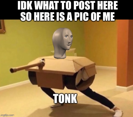 Tonk | IDK WHAT TO POST HERE SO HERE IS A PIC OF ME | image tagged in tonk | made w/ Imgflip meme maker
