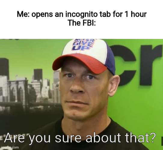 John Cena - are you sure about that? | Me: opens an incognito tab for 1 hour
The FBI:; Are you sure about that? | image tagged in john cena - are you sure about that,funny,fbi,incognito | made w/ Imgflip meme maker