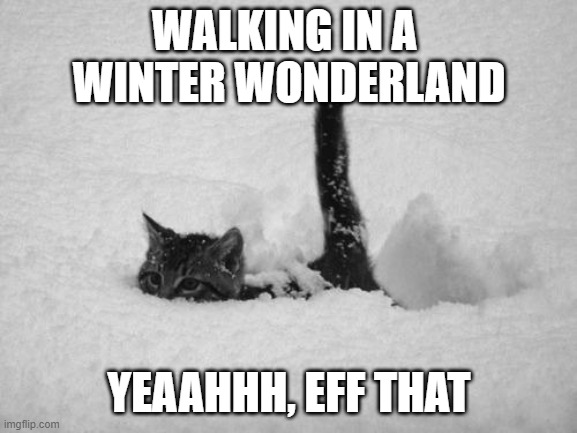 Walking in a winter wonderland | WALKING IN A 
WINTER WONDERLAND; YEAAHHH, EFF THAT | image tagged in snow cat | made w/ Imgflip meme maker