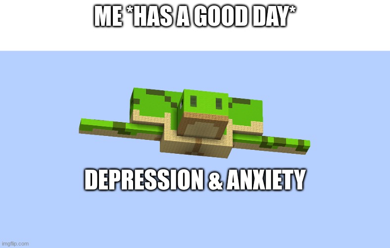 Depression | ME *HAS A GOOD DAY*; DEPRESSION & ANXIETY | image tagged in imposing turtle,turtle,depression,sad | made w/ Imgflip meme maker