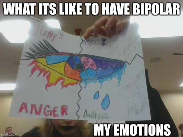 Bipolar feels like | WHAT ITS LIKE TO HAVE BIPOLAR; MY EMOTIONS | image tagged in drawings | made w/ Imgflip meme maker