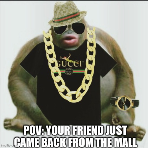 When your friend comes from the mall | POV: YOUR FRIEND JUST CAME BACK FROM THE MALL | image tagged in monke,mall,rejected | made w/ Imgflip meme maker