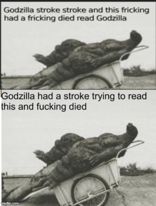 godzilla had a stroke trying to read this and fucking died to a heart attack | image tagged in godzilla had a stroke trying to read this and fucking died | made w/ Imgflip meme maker