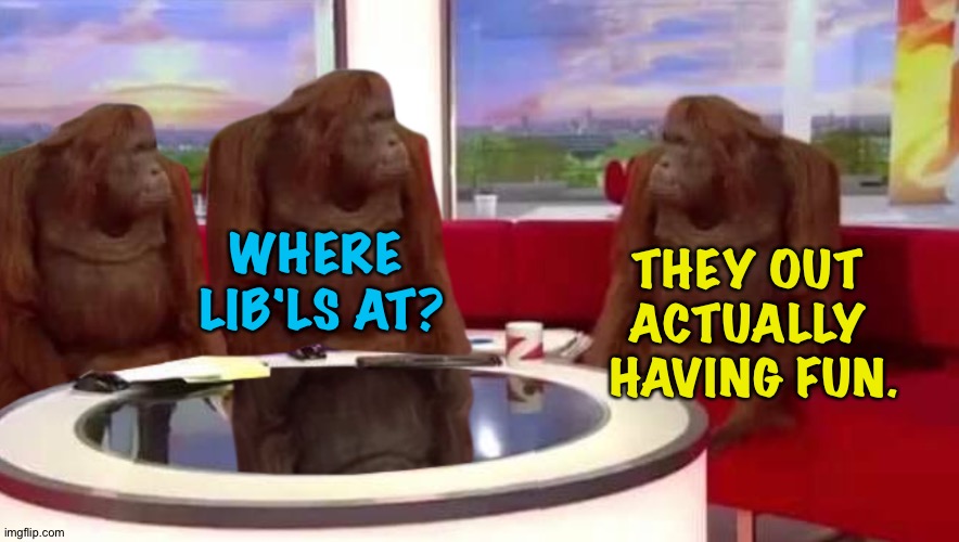 Three monkeys | WHERE 
LIB'LS AT? THEY OUT 
ACTUALLY 
HAVING FUN. | image tagged in three monkeys | made w/ Imgflip meme maker