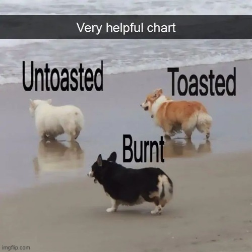 3 dogs ashore | image tagged in dogs | made w/ Imgflip meme maker